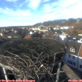 14_10-nest.jpg