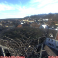 14_15-nest.jpg
