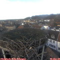 14_20-nest.jpg