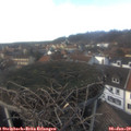 14_25-nest.jpg