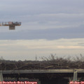 14_30-mast.jpg