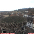 14_35-nest.jpg