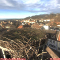 14_40-nest.jpg