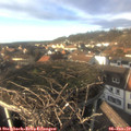 14_45-nest.jpg