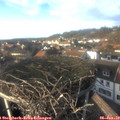 14_50-nest.jpg