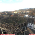 14_55-nest.jpg