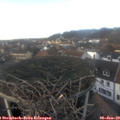 15_05-nest.jpg