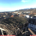 15_20-nest.jpg