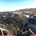 15_25-nest.jpg