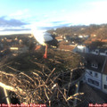15_50-nest.jpg