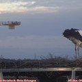 16_15-mast.jpg