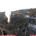 16_15-nest.jpg