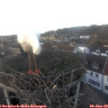 16_20-nest.jpg