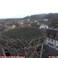 08_25-nest.jpg