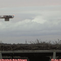 08_30-mast.jpg
