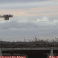 08_35-mast.jpg