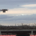 08_40-mast.jpg