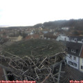 08_40-nest.jpg