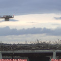 08_45-mast.jpg