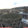 08_45-nest.jpg