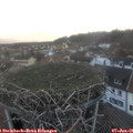 08_50-nest.jpg