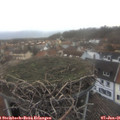 08_55-nest.jpg