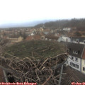 09_00-nest.jpg