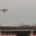 09_05-mast.jpg