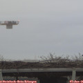 09_10-mast.jpg