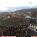 09_10-nest.jpg
