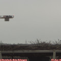 09_25-mast.jpg