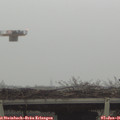 09_45-mast.jpg