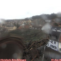 09_45-nest.jpg