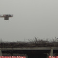 09_50-mast.jpg