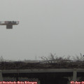 09_55-mast.jpg