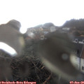 10_05-nest.jpg