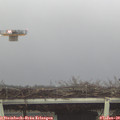 10_10-mast.jpg