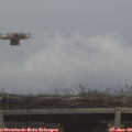 10_20-mast.jpg