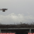10_25-mast.jpg
