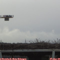 10_30-mast.jpg