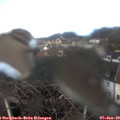 11_00-nest.jpg