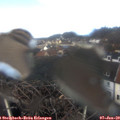 11_05-nest.jpg