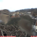 11_40-nest.jpg