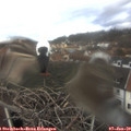 12_05-nest.jpg