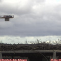 12_10-mast.jpg