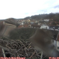 12_10-nest.jpg