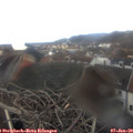 12_25-nest.jpg