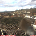 12_40-nest.jpg