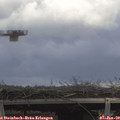 12_45-mast.jpg