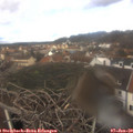 12_45-nest.jpg